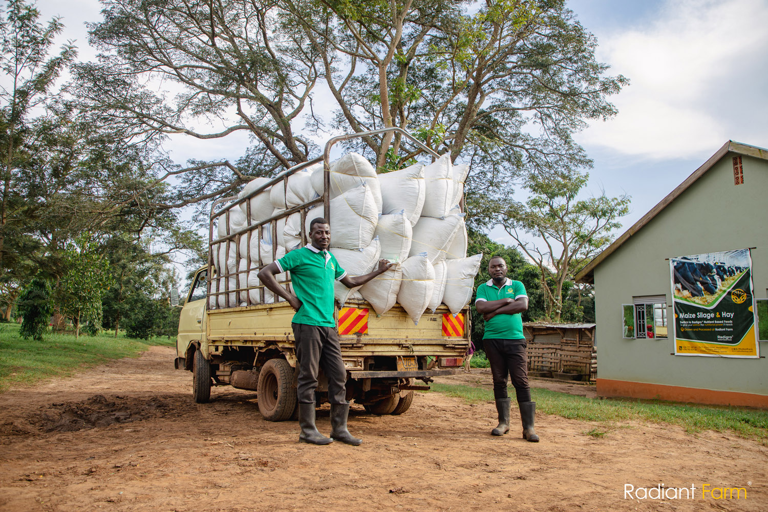 The Dry Season Dilemma: Your Path to Consistent Quality Forage Year-Round