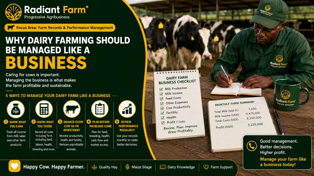 Why Dairy Farming Should Be Managed Like a Business