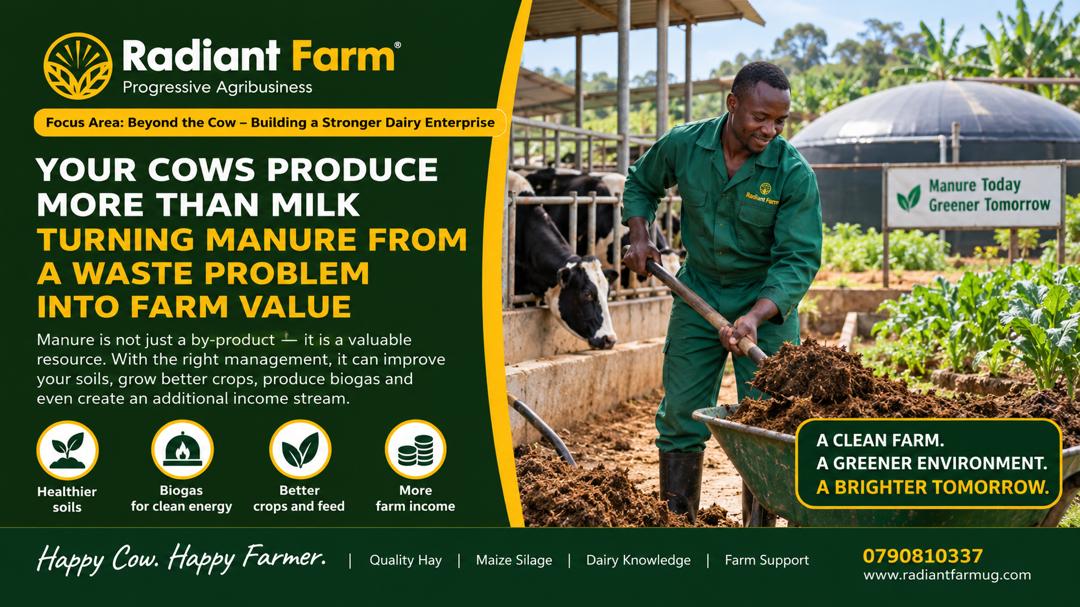 Your Cows Produce More Than Milk: Turning Manure into Farm Value