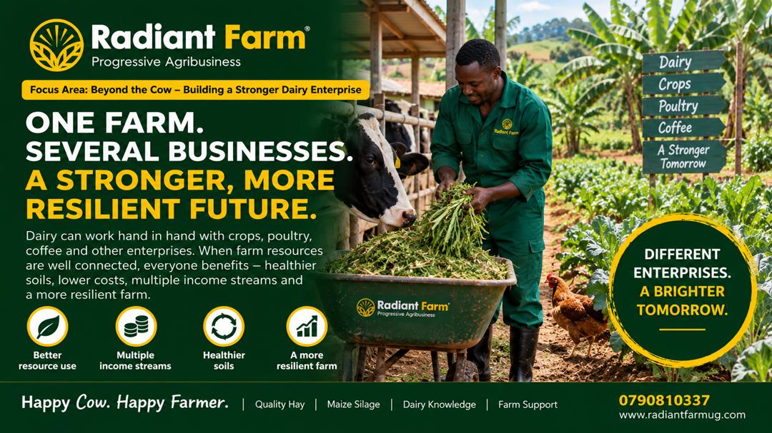 One Farm, Several Businesses: How Dairy Can Support Other Farm Enterprises