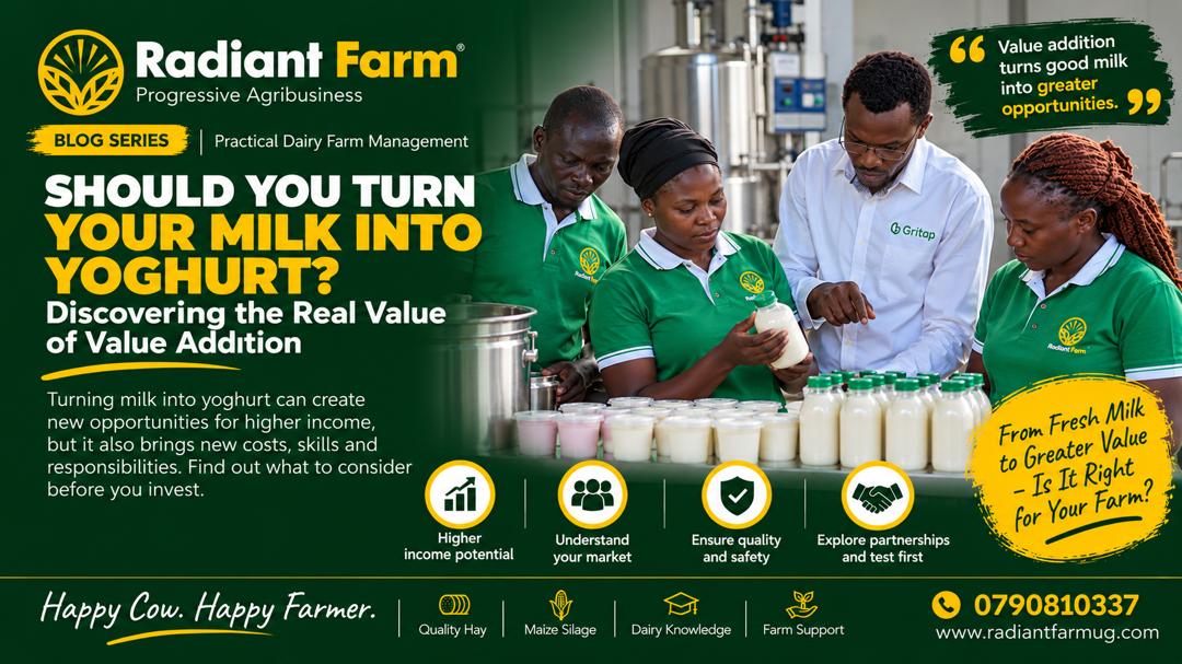 Should You Turn Your Milk into Yoghurt? Discovering the Real Value of Value Addition