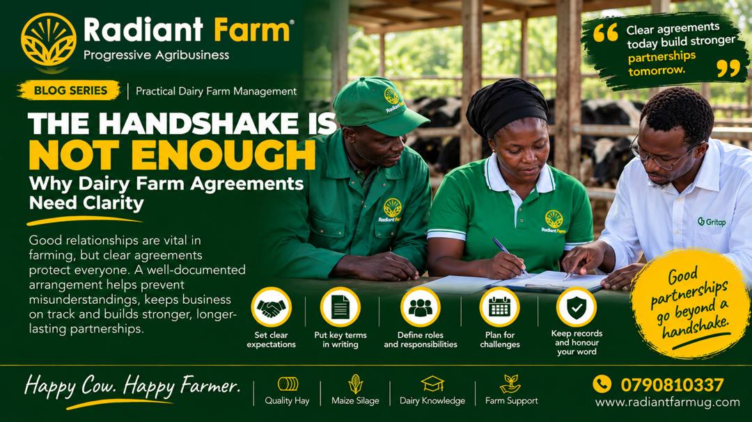 The Handshake Is Not Enough: Why Dairy Farm Agreements Need Clarity