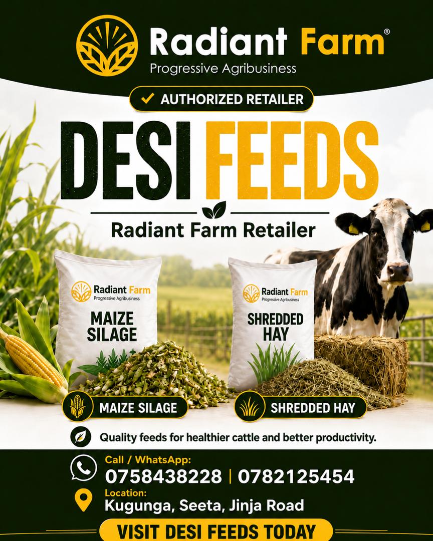 Desi Feeds